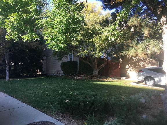 Back of property