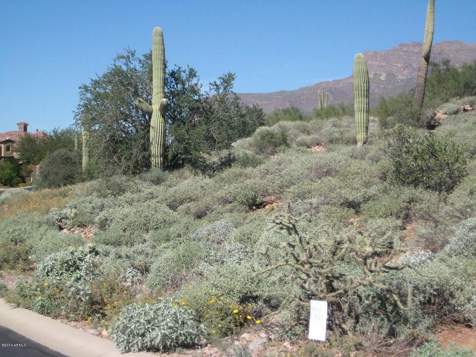 1st image of 3995 S Avenida De Angeles