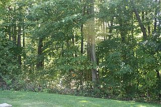 5th image of 0 Ashwood Dr