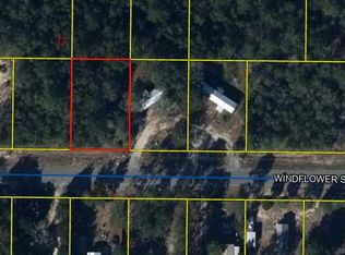 46 Windflower St, Defuniak Springs, FL 32433