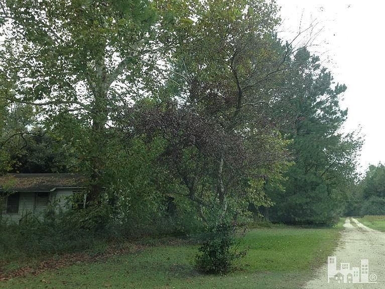 2nd image of 115 Quinton Raynor Ln