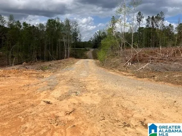 11470 Camp Oliver Rd, Adger, AL 35006