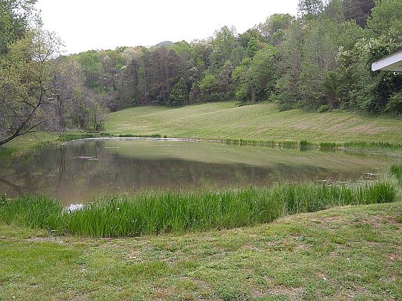 Large Pond