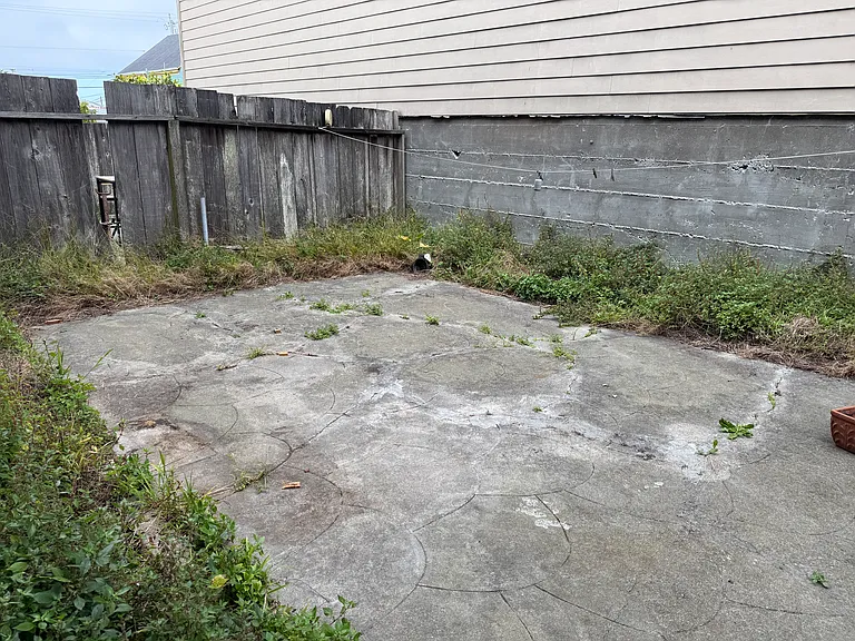 back yard