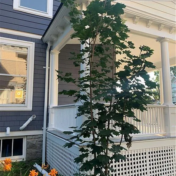 4 Morgan Ave — Photo 35
