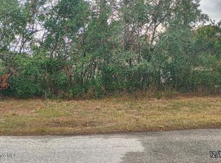 0 Arrowhead Ave, Spring Hill, FL 34606