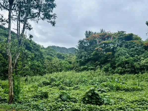 Carr 513 Bo Collores Lote 1, Juana Diaz, PR 00795