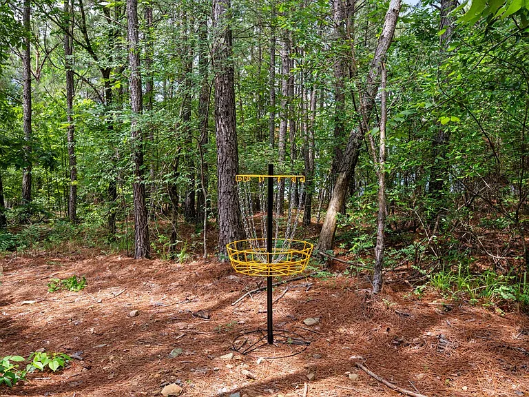 474 Bear Pine Trl #ID1533743P — Photo 23