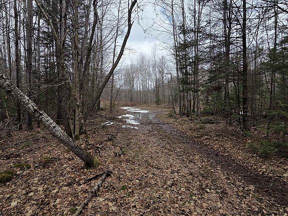 3rd image of County Road K