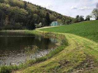 824 Ecker Hollow Rd, Middleburgh, NY 12157