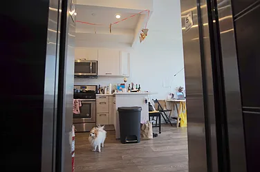 Rented by Lofts and Flats LLC