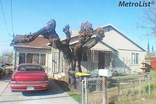 1st image of 1803 S Stockton St
