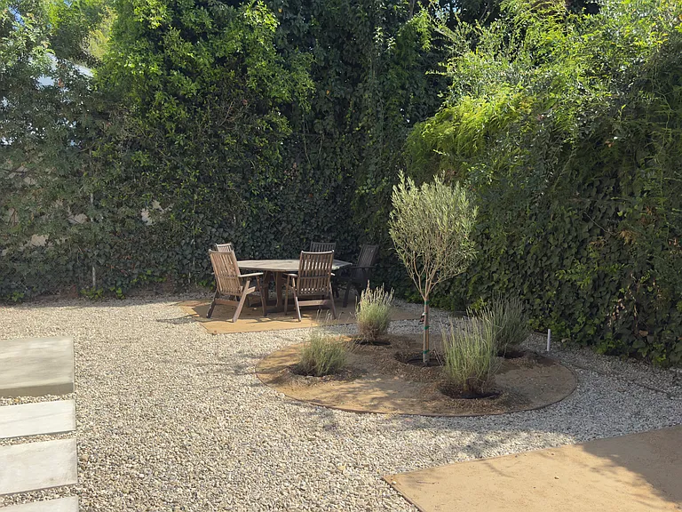 Front yard