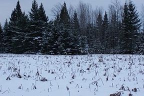 3rd image of 17673 Town Hall Hwy