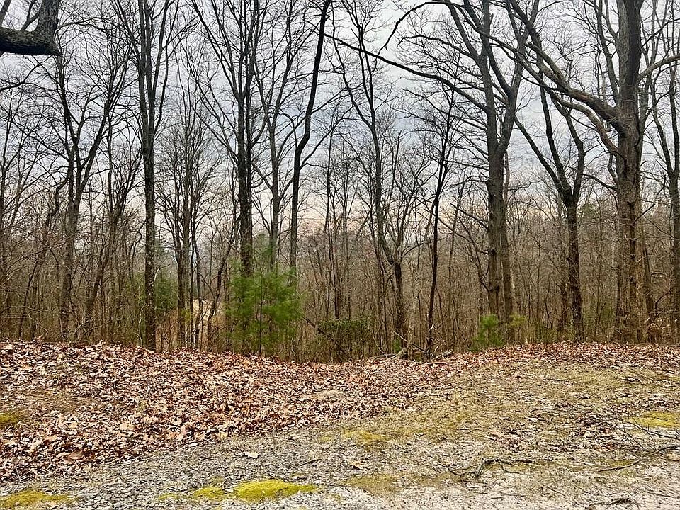 1st image of 0 Wilderness Creek Way