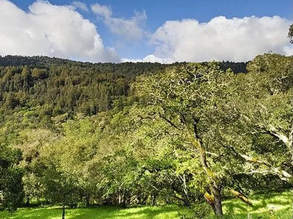 275 Josselyn Ln, Woodside, CA 94062