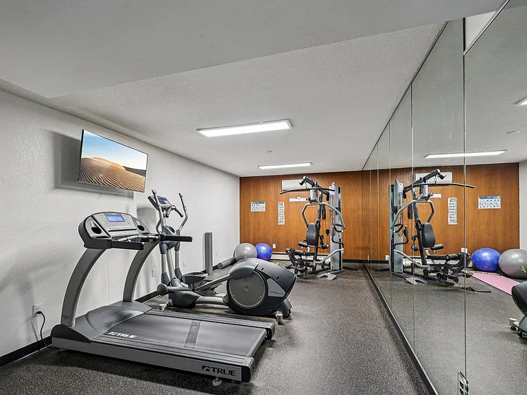 Gym