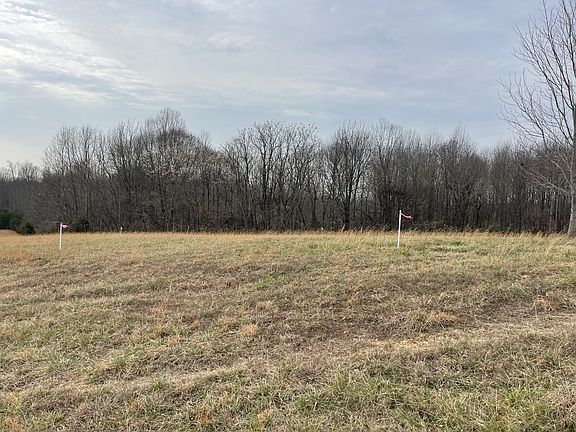 4th image of 595 Sadlers Chapel Rd Lot 3