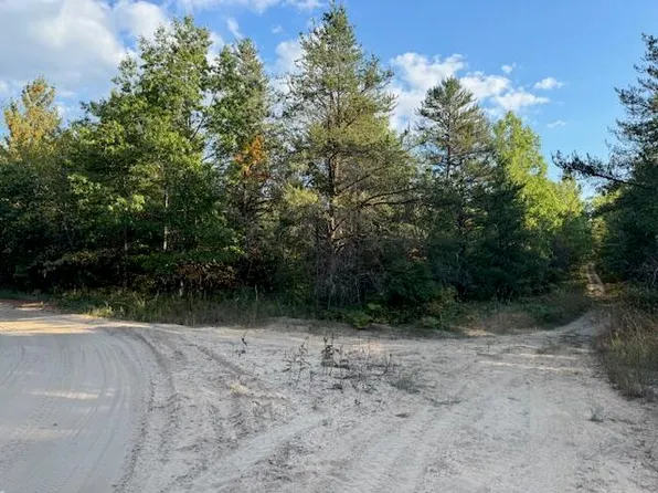 LOT 415 Larch St, Johannesburg, MI 49751