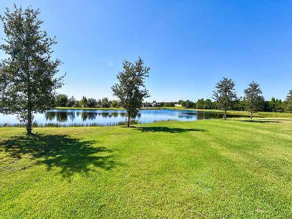 Large Backyard