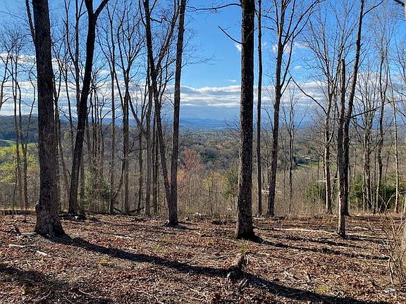 3rd image of 49 Winding View Dr