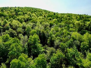 Beaver Hill Rd #TOWNHOUSE 27, Roxbury, VT 05669