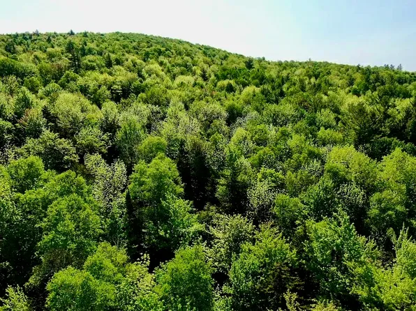TH27 Beaver Hill Road, Roxbury, VT 05669