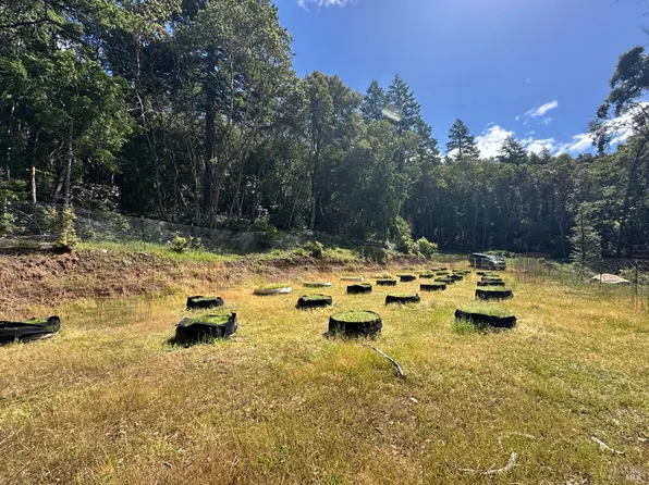 0 Little Dan Creek Road, Leggett, CA 95585