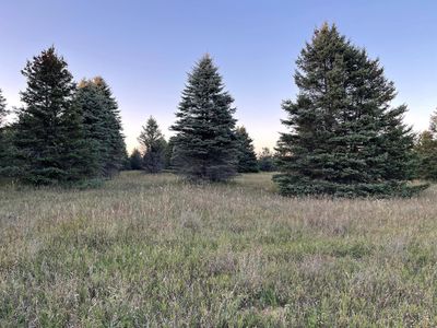 Elder Rd, Mancelona, MI, 49659