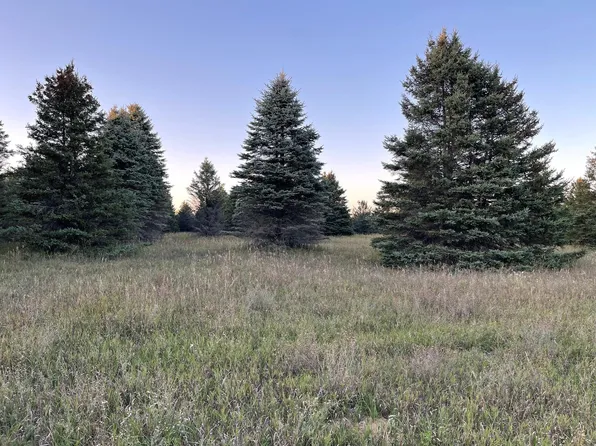 Elder Rd, Mancelona, MI 49659