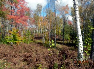 M 115 Hwy East Of 50th Ave, Evart, MI 49631