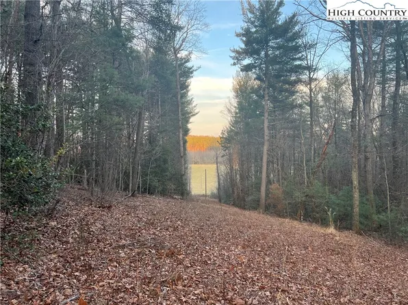 TBD Rom Eller Road, Ferguson, NC 28624