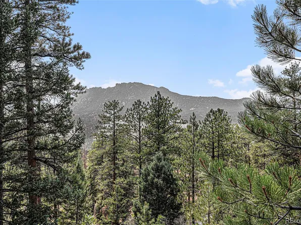 14217 Nighthawk Place, Sedalia, CO 80135