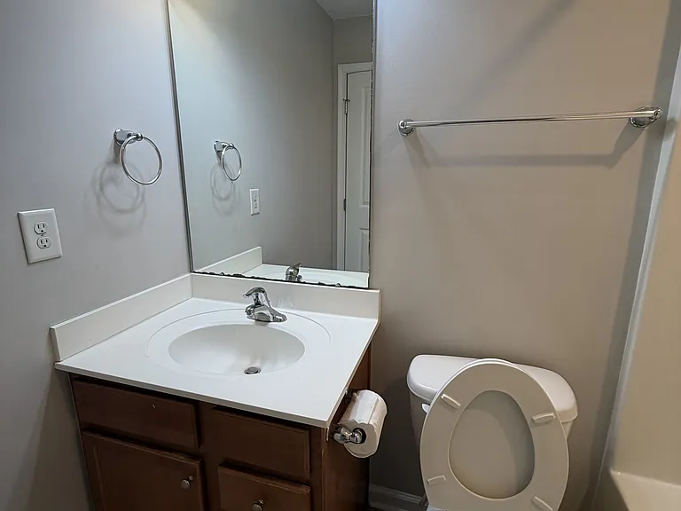 Hallway bath - vanity and toilet