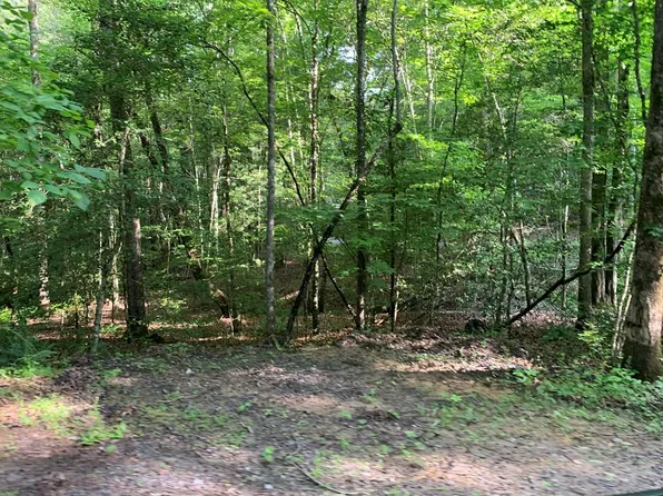 LOT 57 Rainy Farm Rd, Murphy, NC 28906