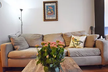 Rented by Bold New York