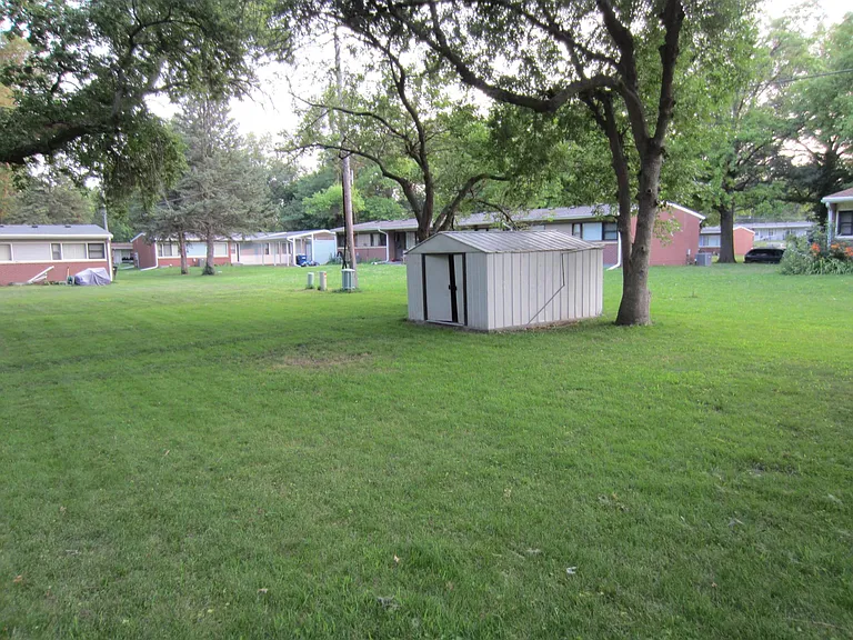 Back yard