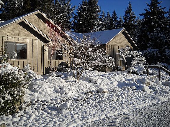 Winter foliage interest!