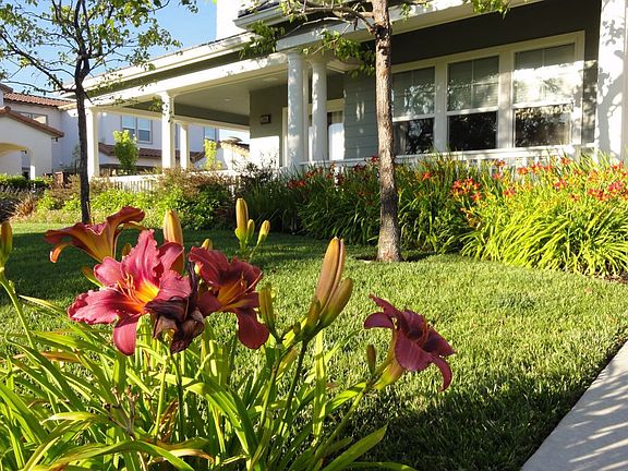Expansive Front Porch