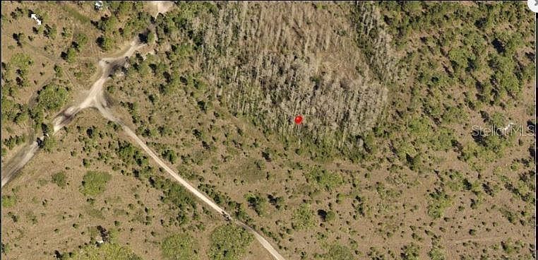 2nd image of Holopaw Groves Rd #1