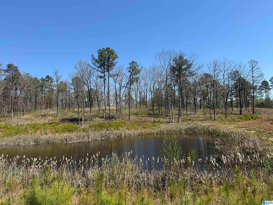 1st image of 0 County Road 51 #1