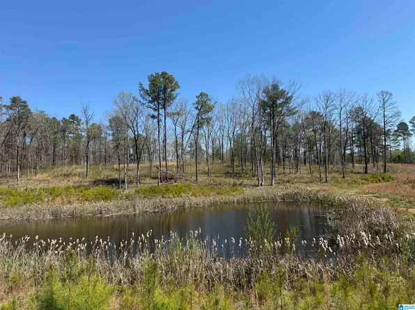 0 County Road 51 #1, Wilsonville, AL 35186