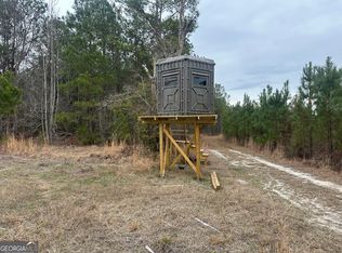 160 Landing Rd, Sylvania, GA 30467