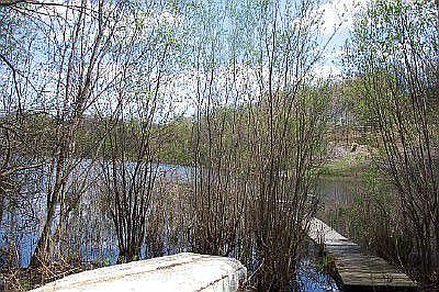 View of Lake
