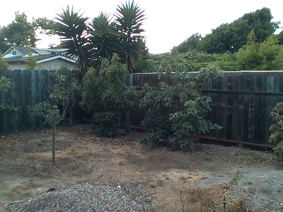 Lots of Baring Fruit Trees!