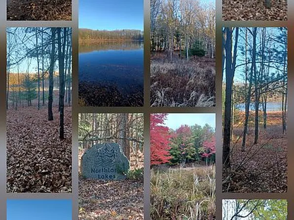 6428 N Sunshine Dr, Irons, MI 49644