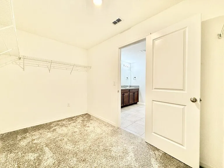 17134 White Mangrove Dr — Photo 53