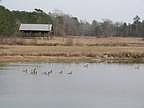 Acreage in Pike Road, Alabama