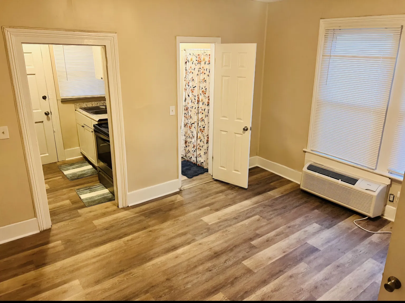 1 bed, 500 sqft, $950 — Photo 3