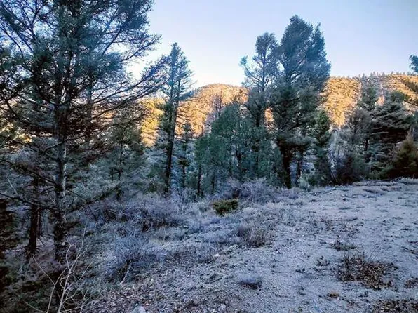 LOT 5701 Dettman Road, Fort  Garland, CO 81133